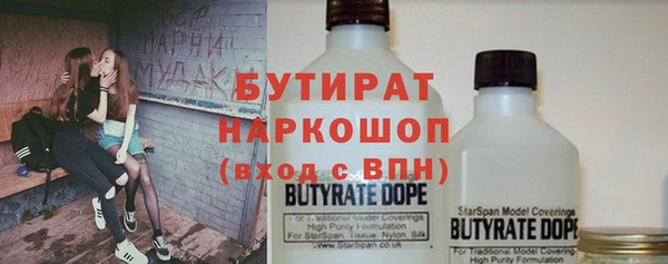 индика Аркадак