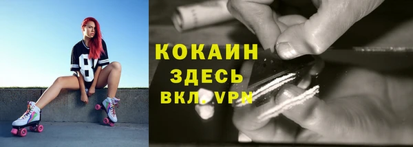 индика Аркадак