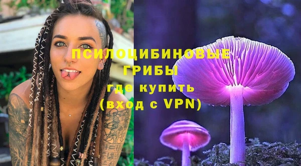 mdpv Армянск