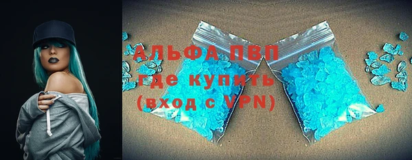 индика Аркадак