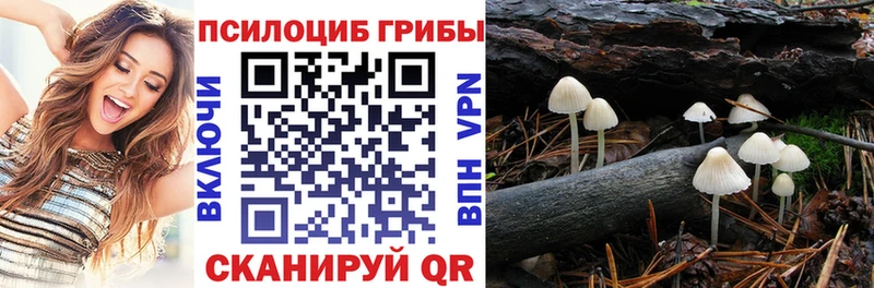 где можно купить наркотик  Белоусово  Галлюциногенные грибы Psilocybe 